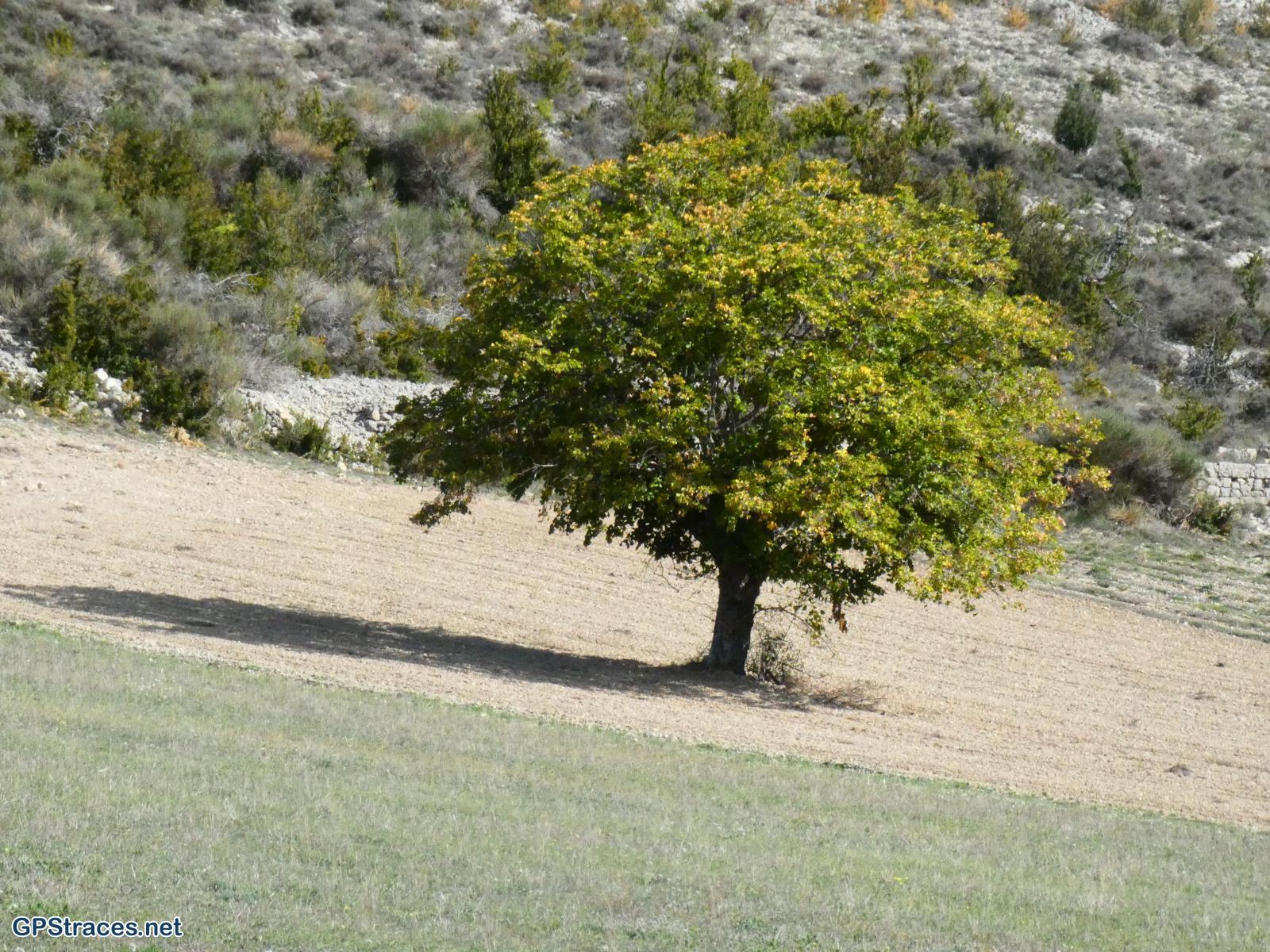Drôme-Baronnies - Le Serre de Rioms par le col des Grenouilles–2