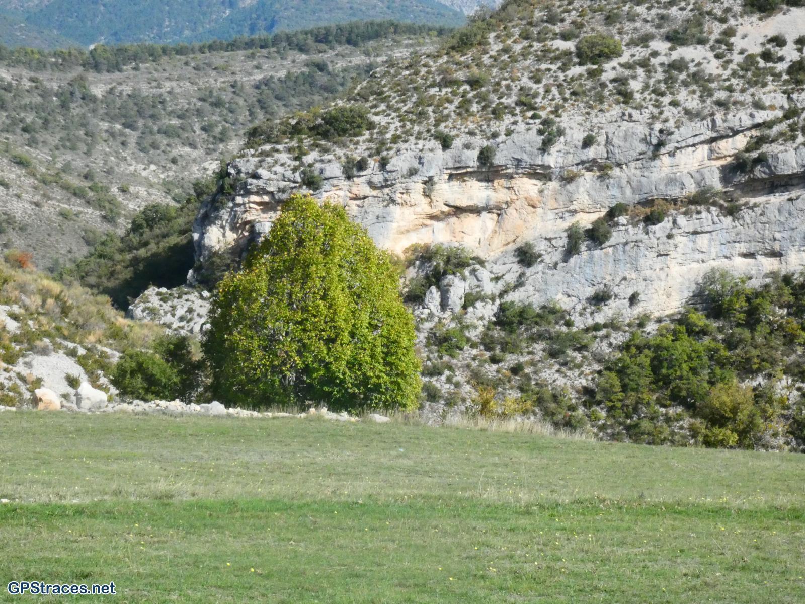 Drôme-Baronnies - Le Serre de Rioms par le col des Grenouilles–4