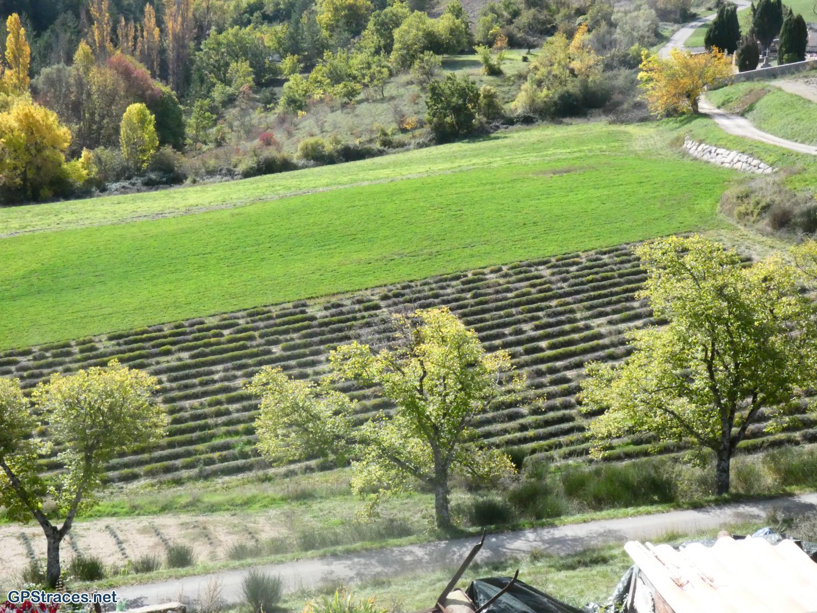 Drôme-Baronnies - Le Serre de Rioms par le col des Grenouilles–6