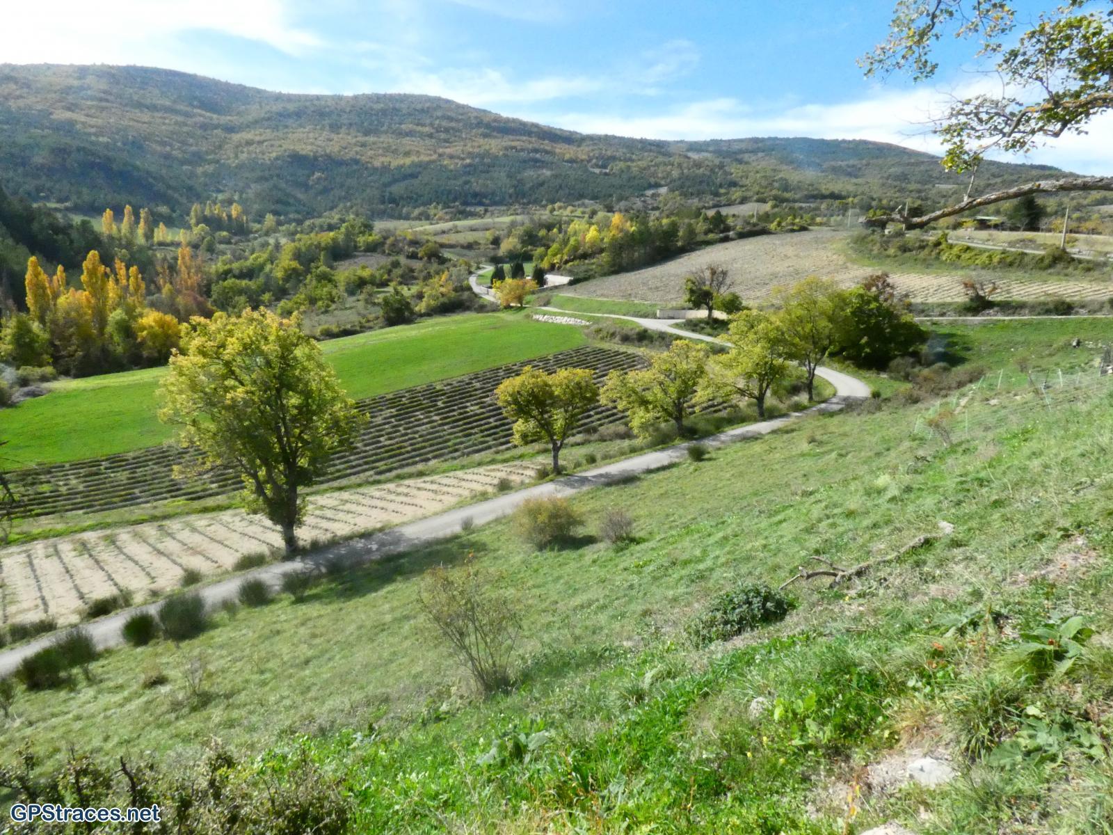 Drôme-Baronnies - Le Serre de Rioms par le col des Grenouilles–7