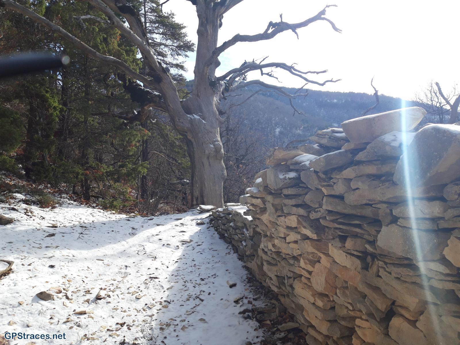 Drôme-Cabane de Cyprien par Montbrun–7