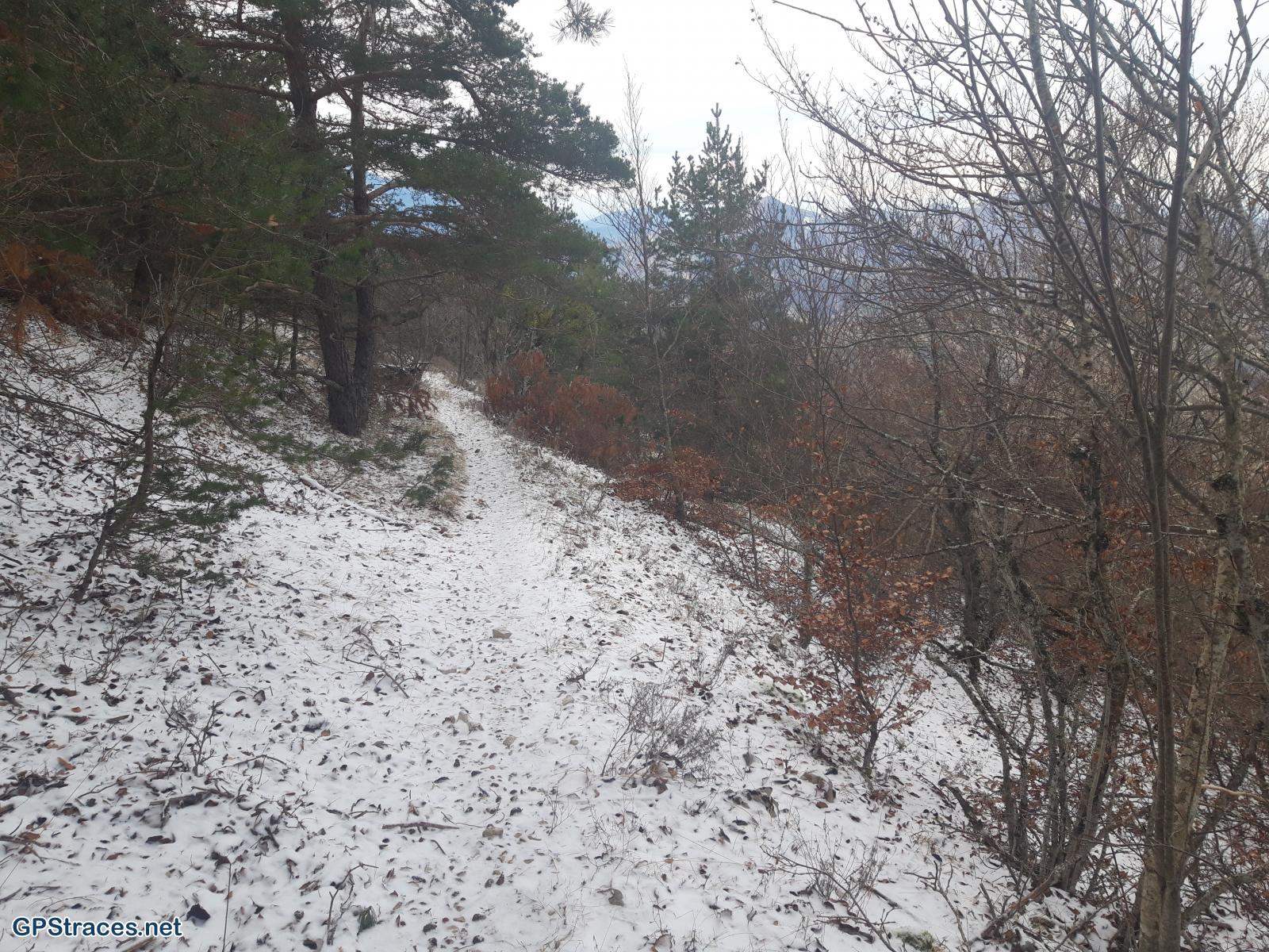 Drôme-Cabane de Cyprien par Montbrun–11