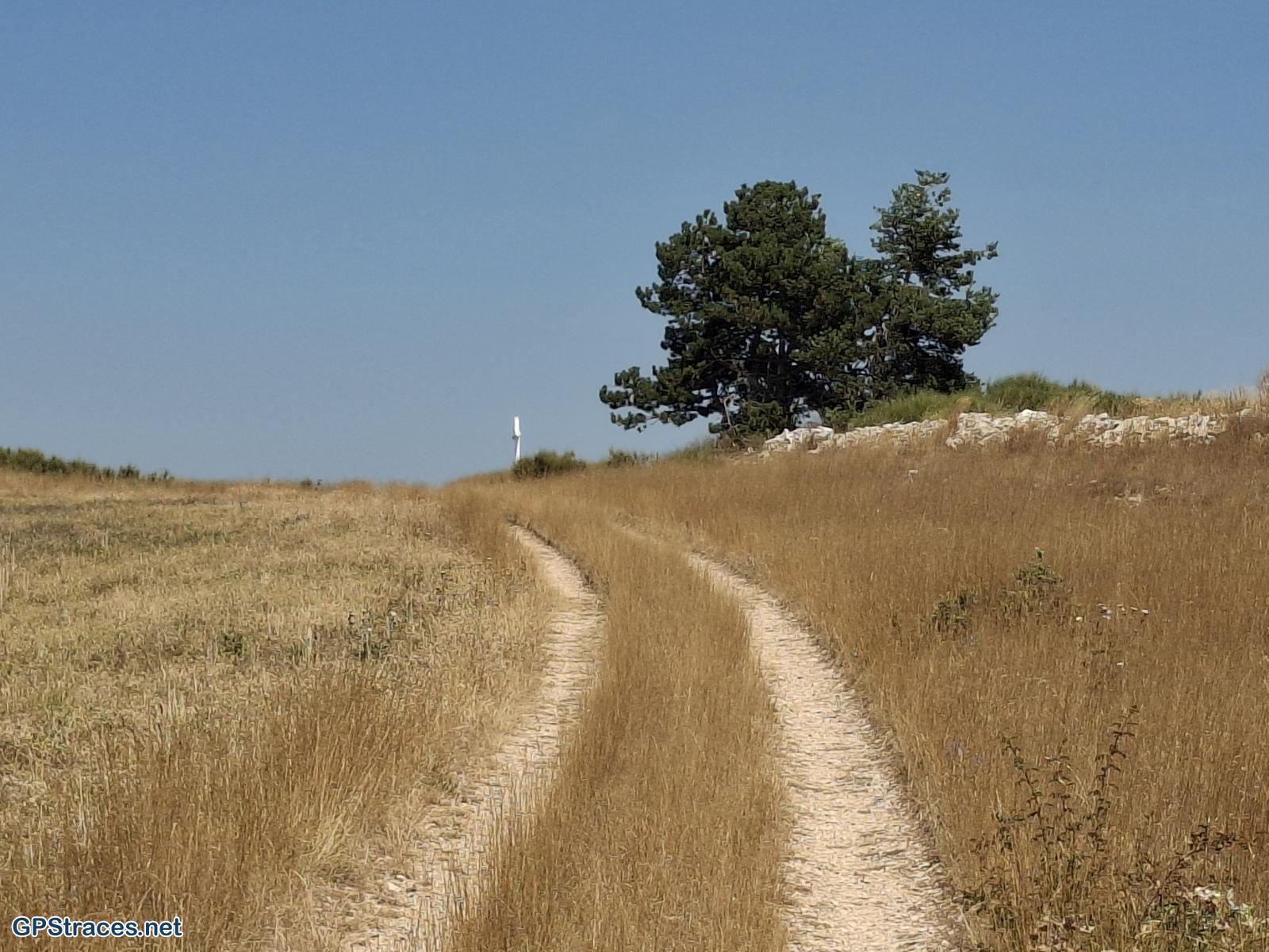 Drôme-Col de l'Homme Mort - La Croix Blanche - Chanaux–3