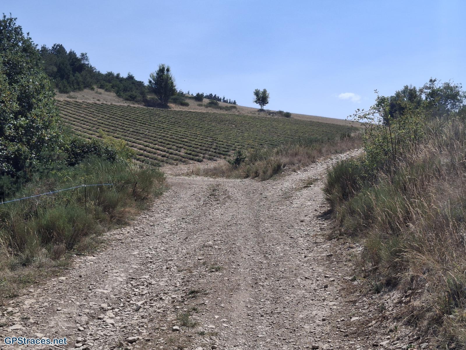 Drôme-Col de l'Homme Mort - La Croix Blanche - Chanaux–5