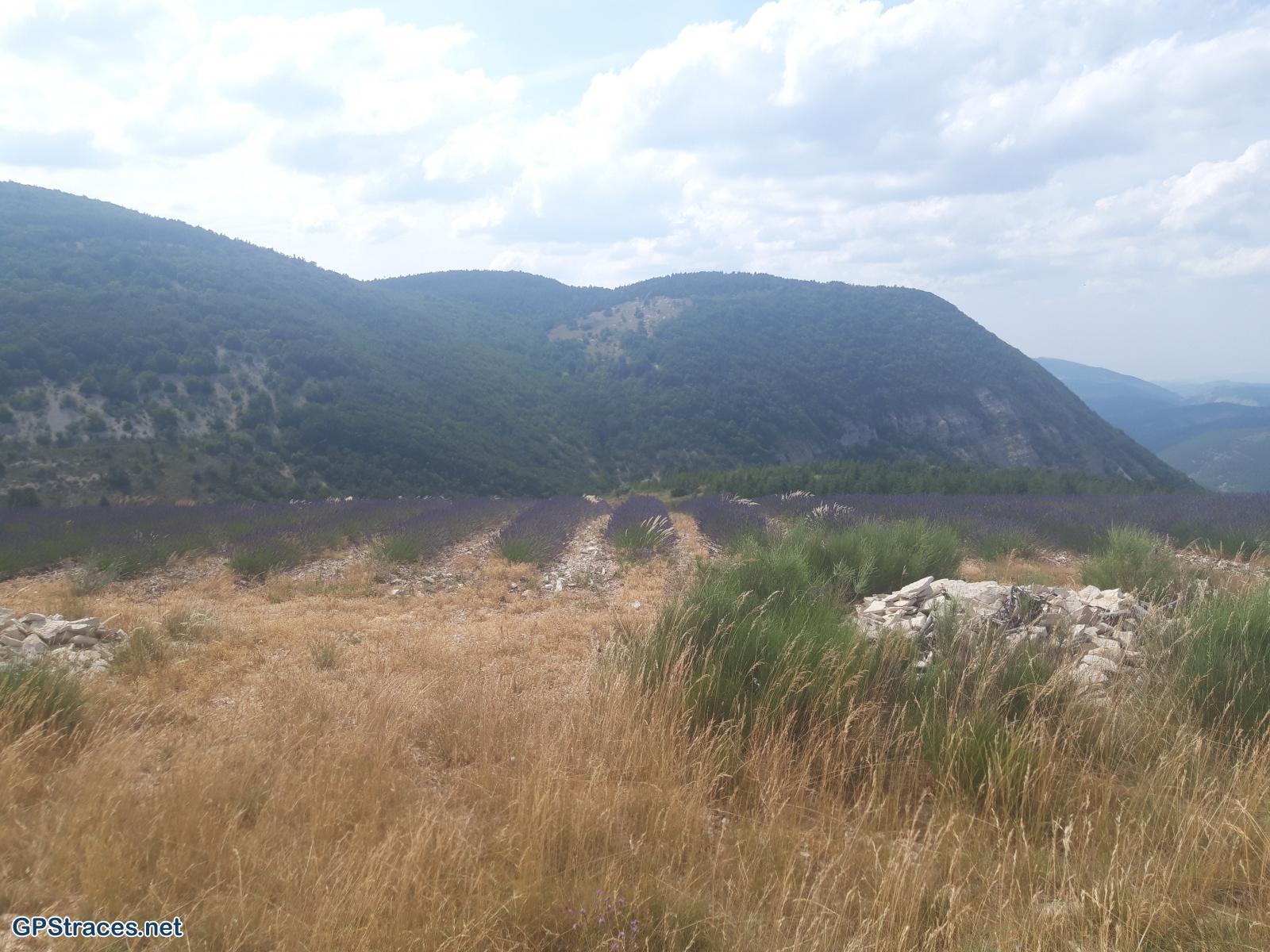 Drôme-Col de l'Homme Mort - Croix Blanche–4