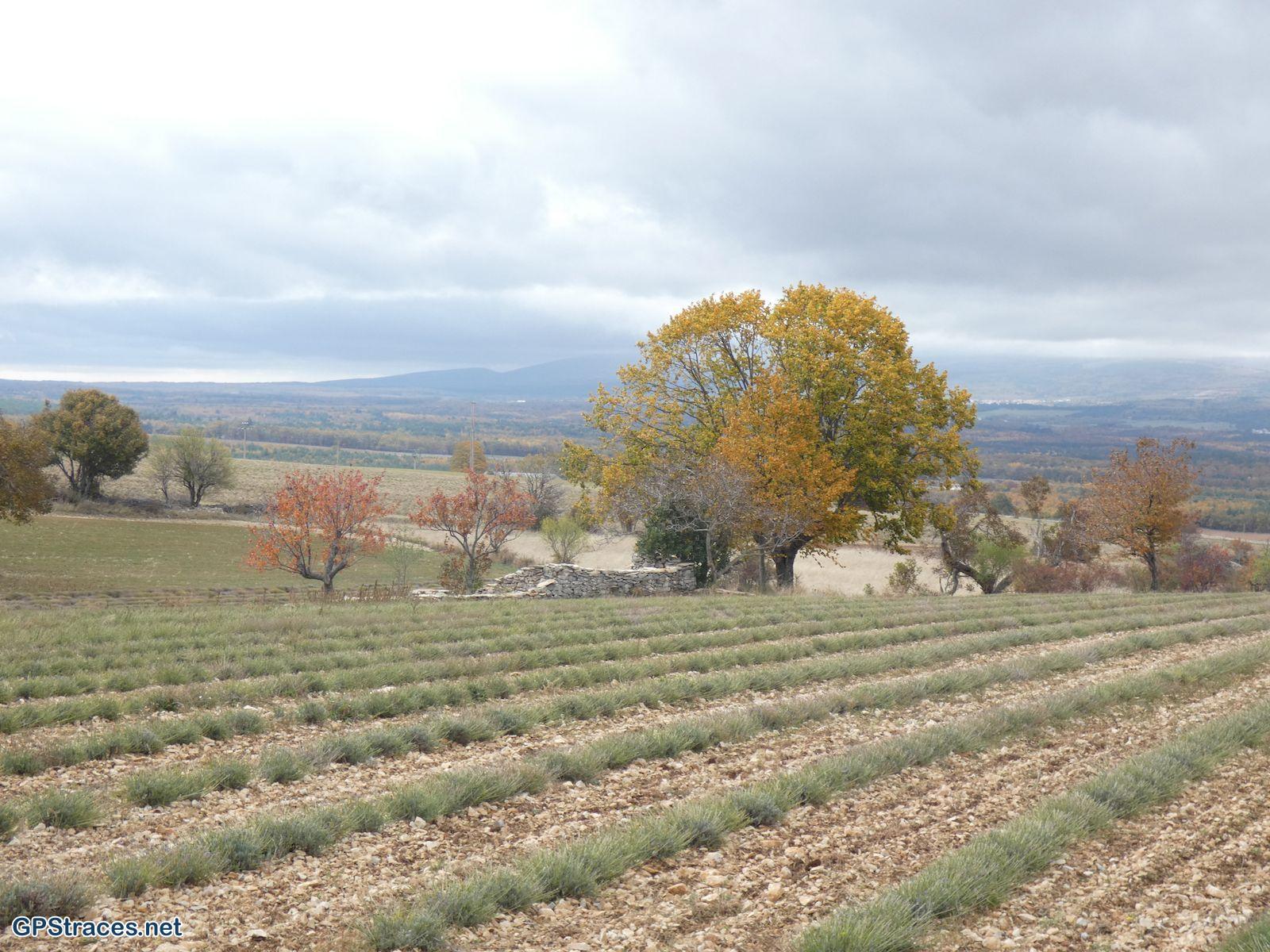Drôme-Ferrassières - Cabane de Cyprien–1