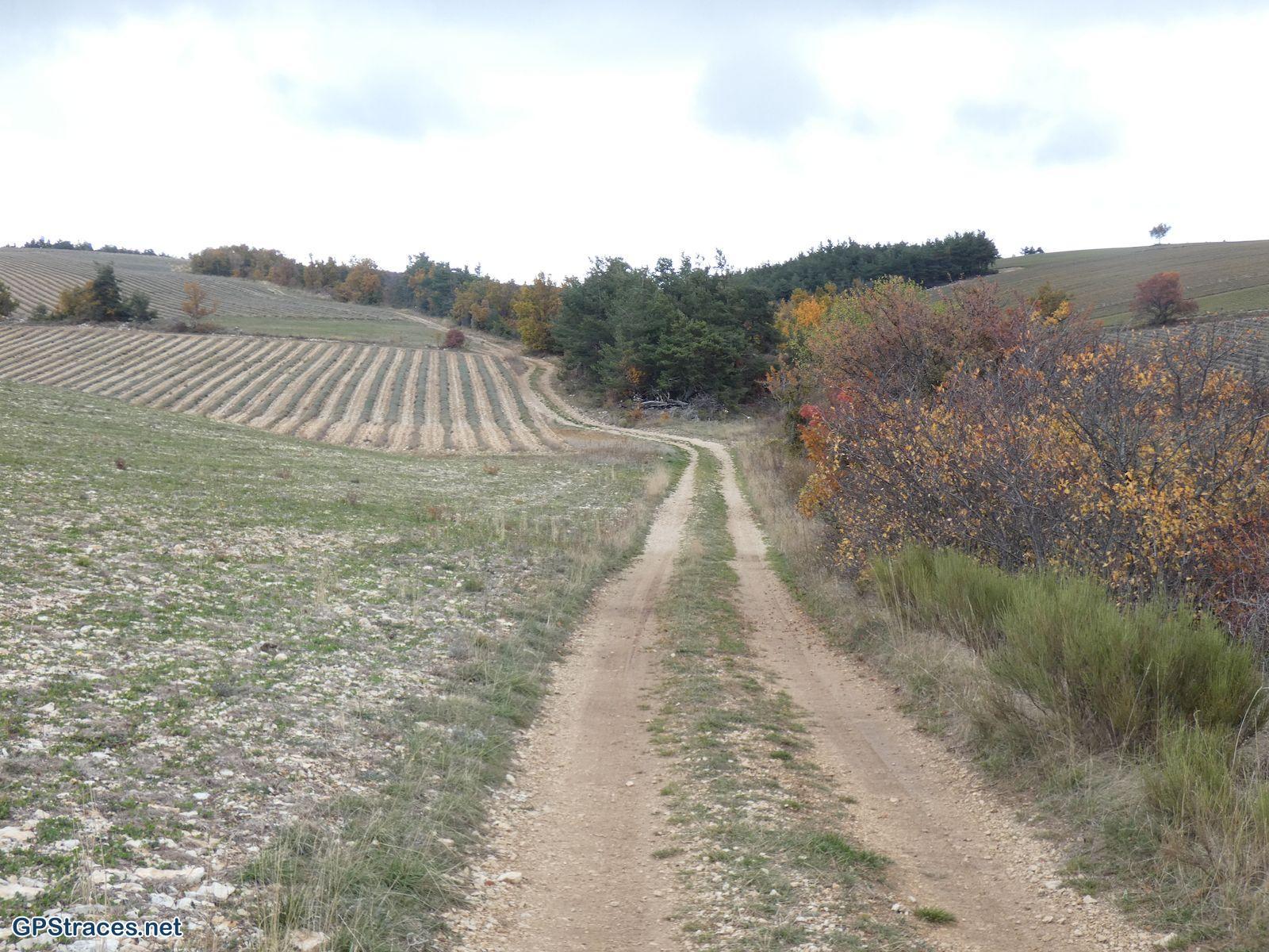 Drôme-Ferrassières - Cabane de Cyprien–2