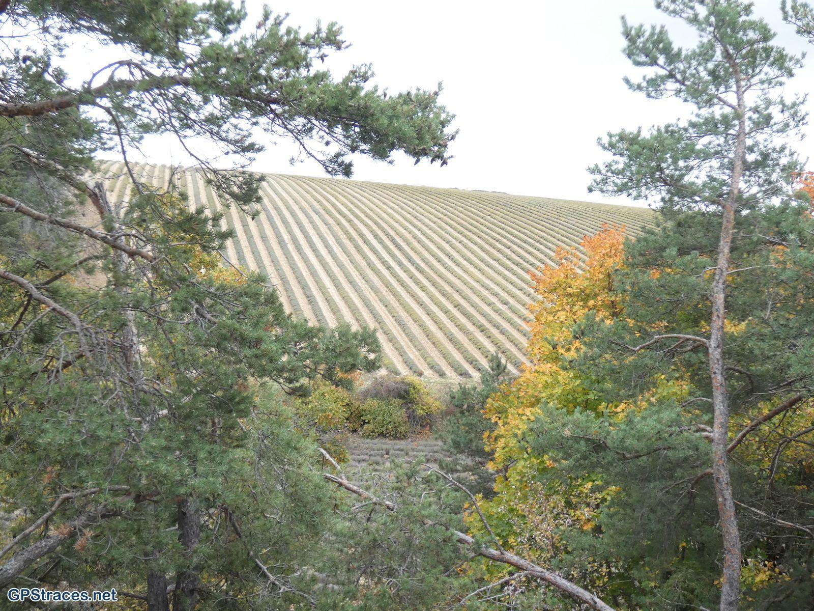 Drôme-Ferrassières - Cabane de Cyprien–3