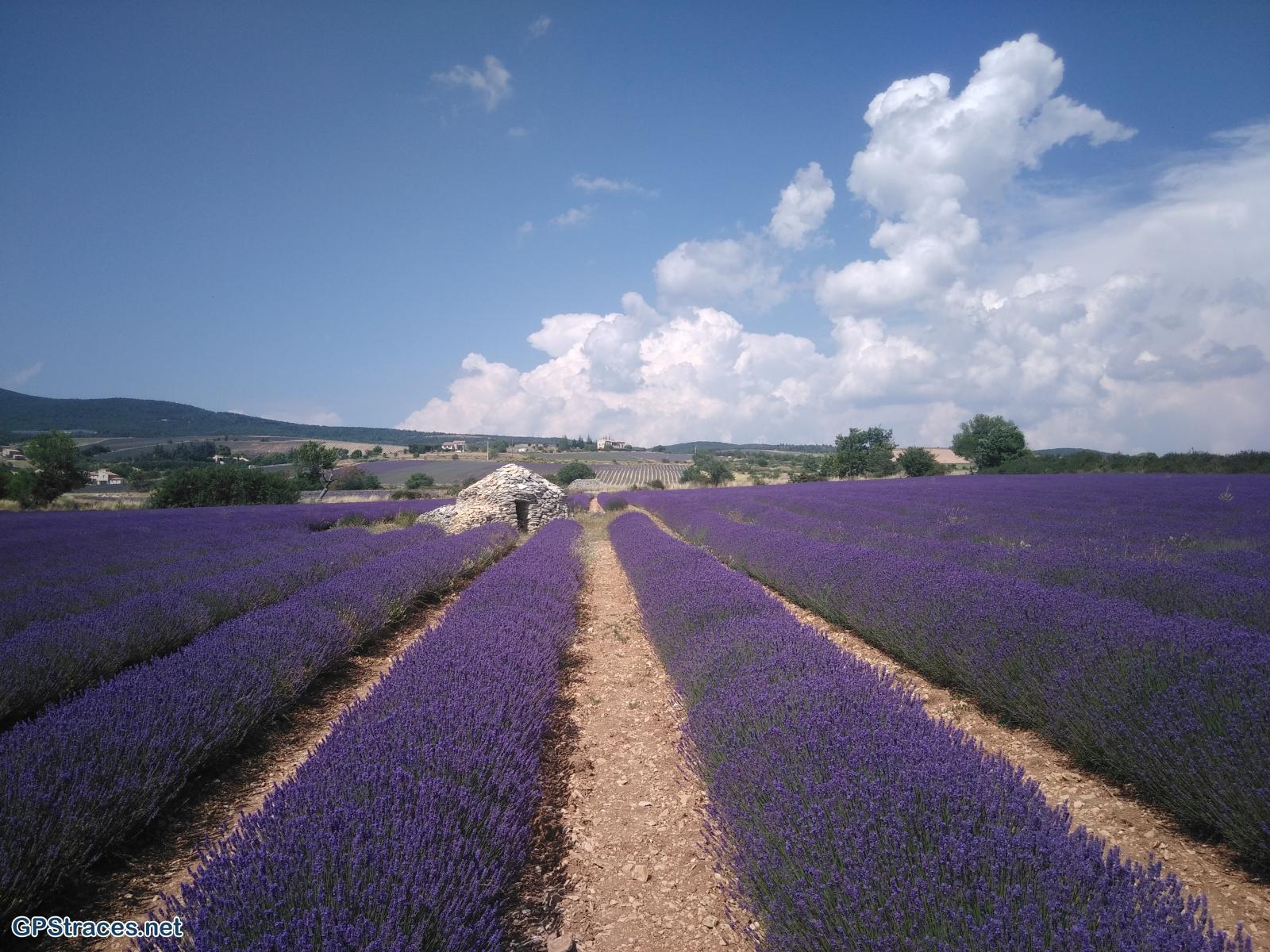 Ferrassières en été
