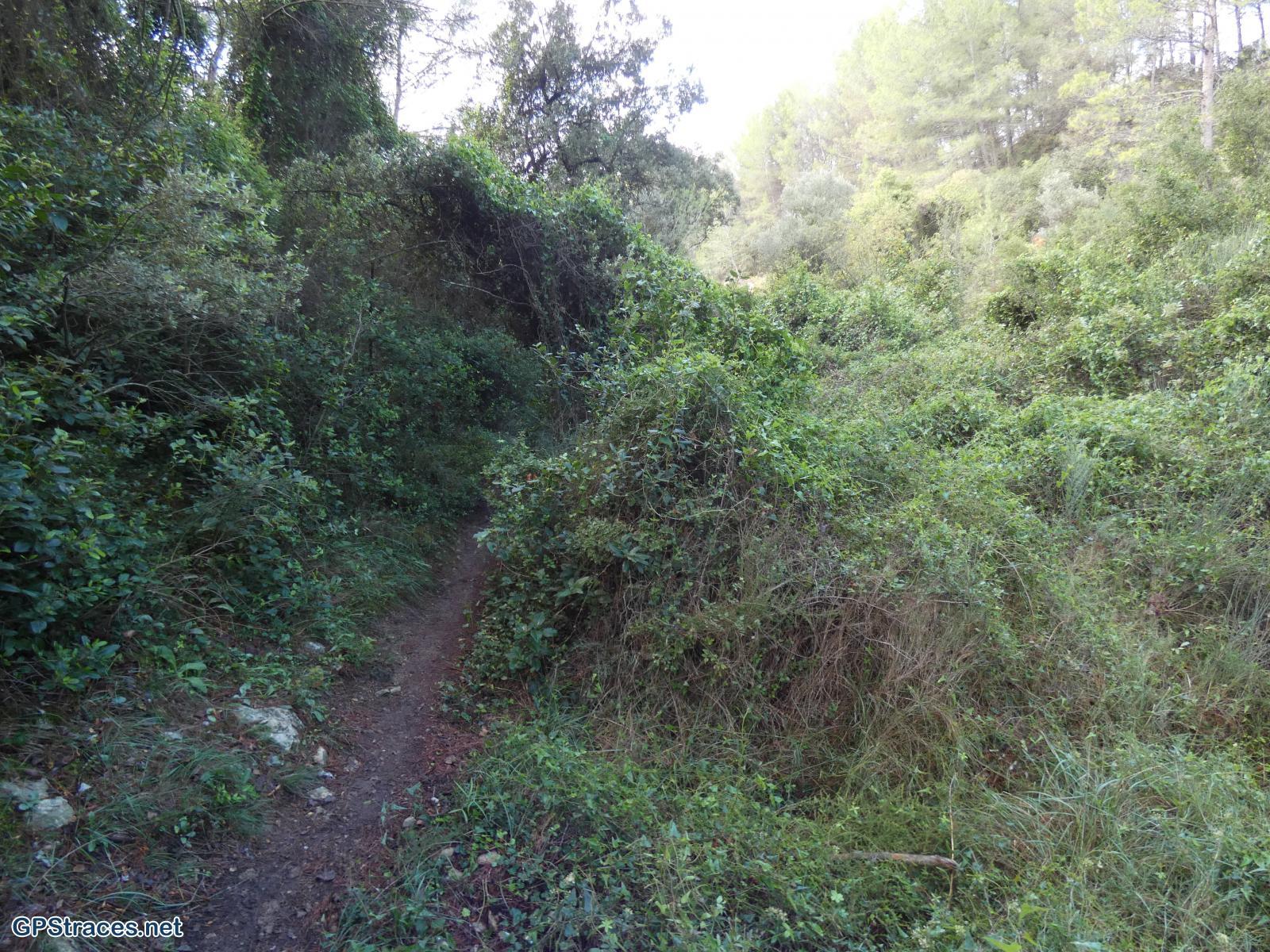 Gard-L'Aiguille - Rocher de Triple Levée - Source de Tavie–8
