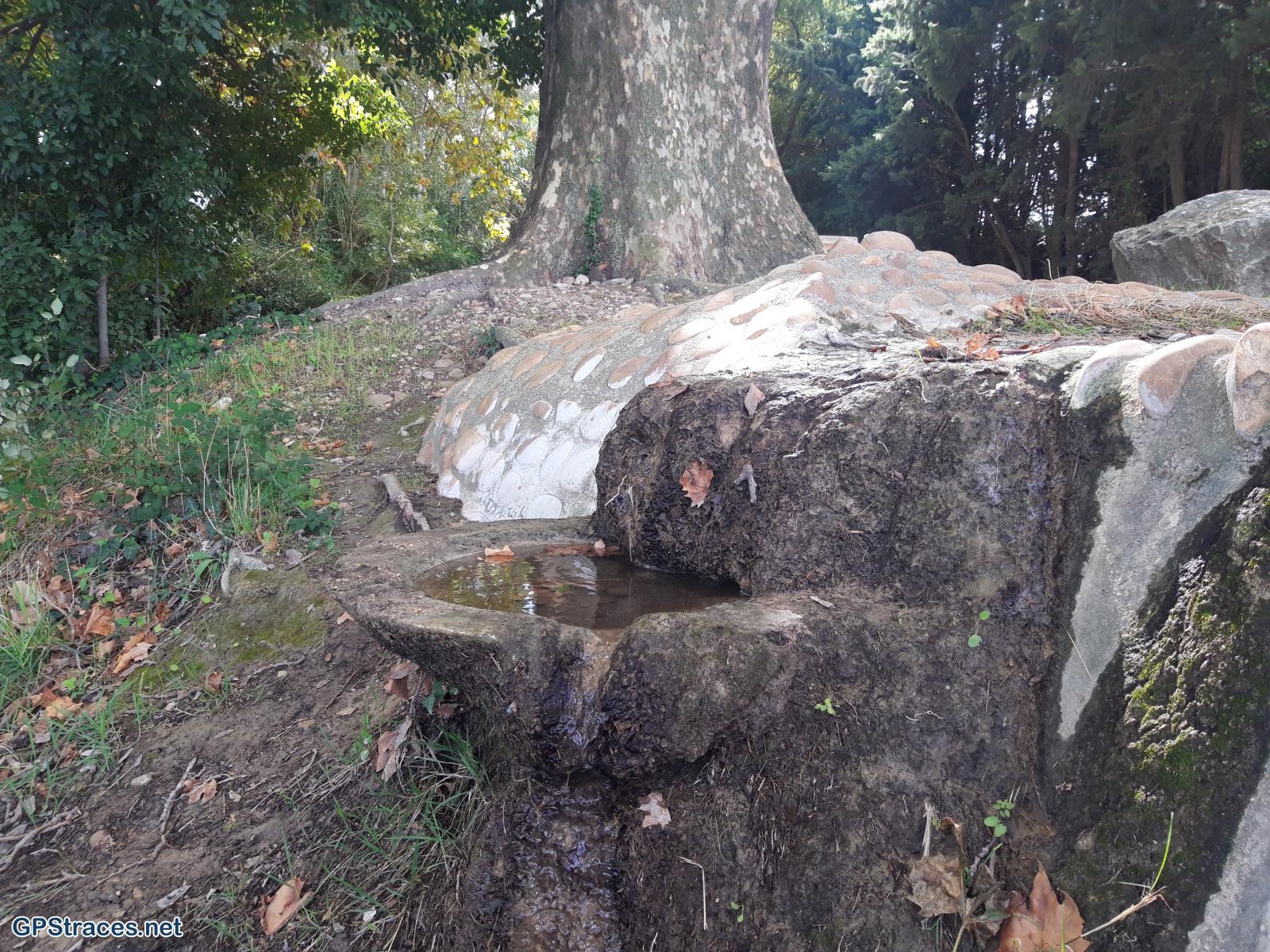 La source de Tavie