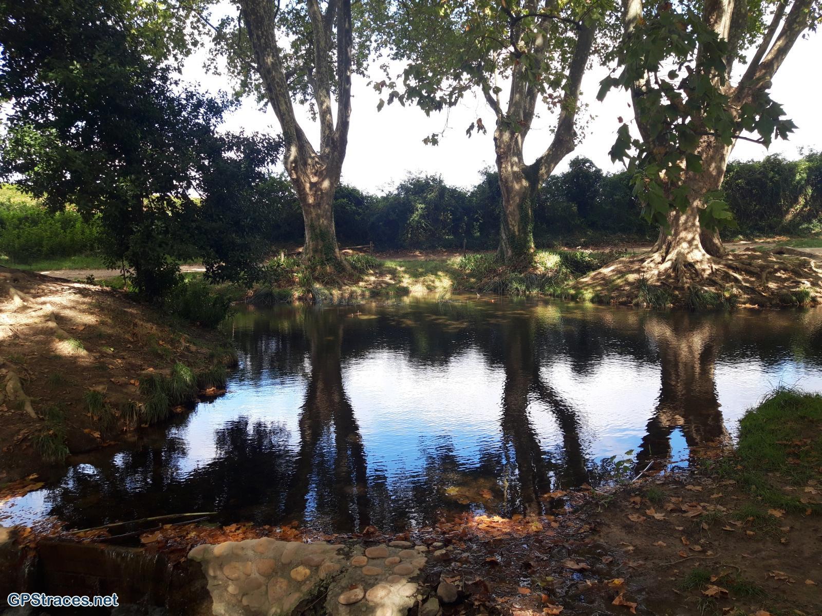 La source de Tavie