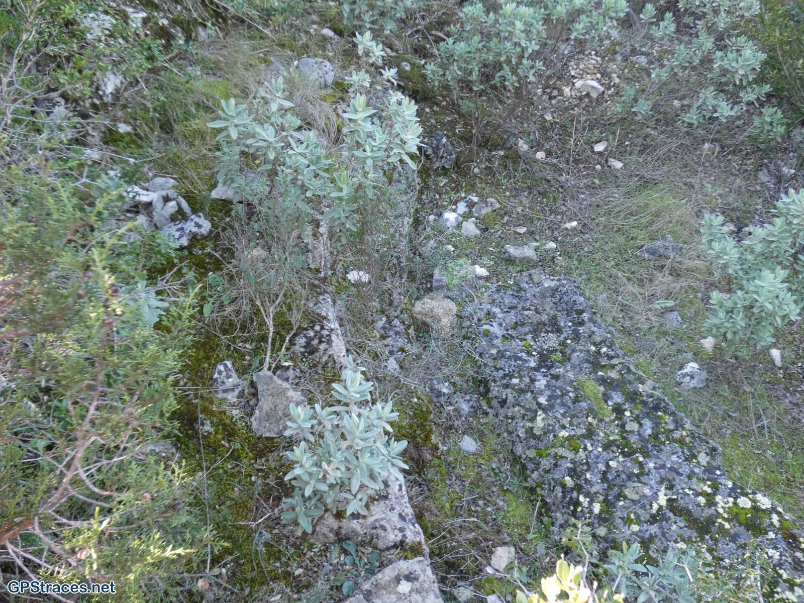 Un vestige de l'aqueduc