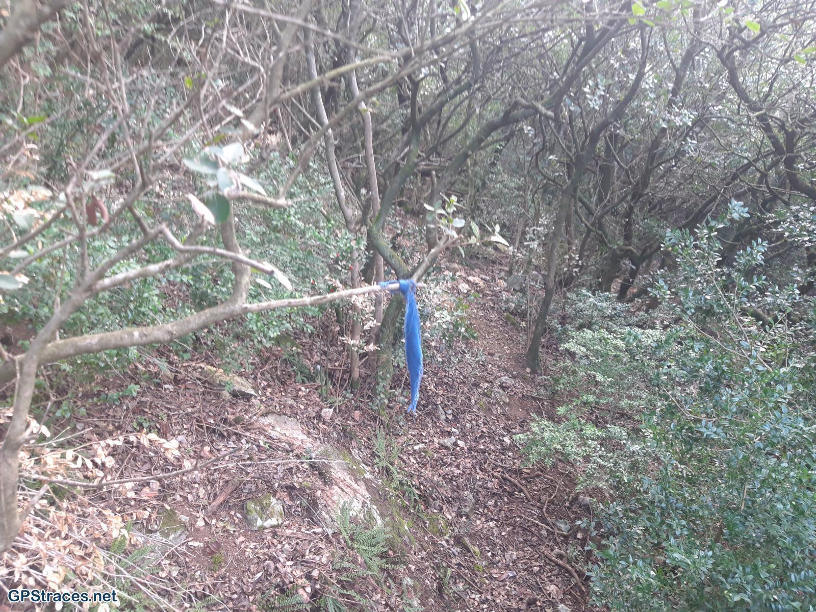 Un ruban marquant le chemin