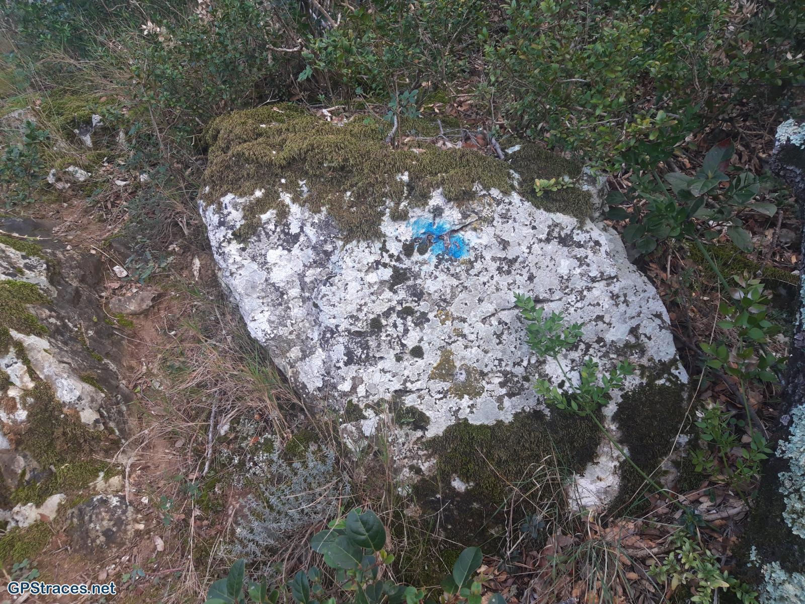 Balisage du chemin