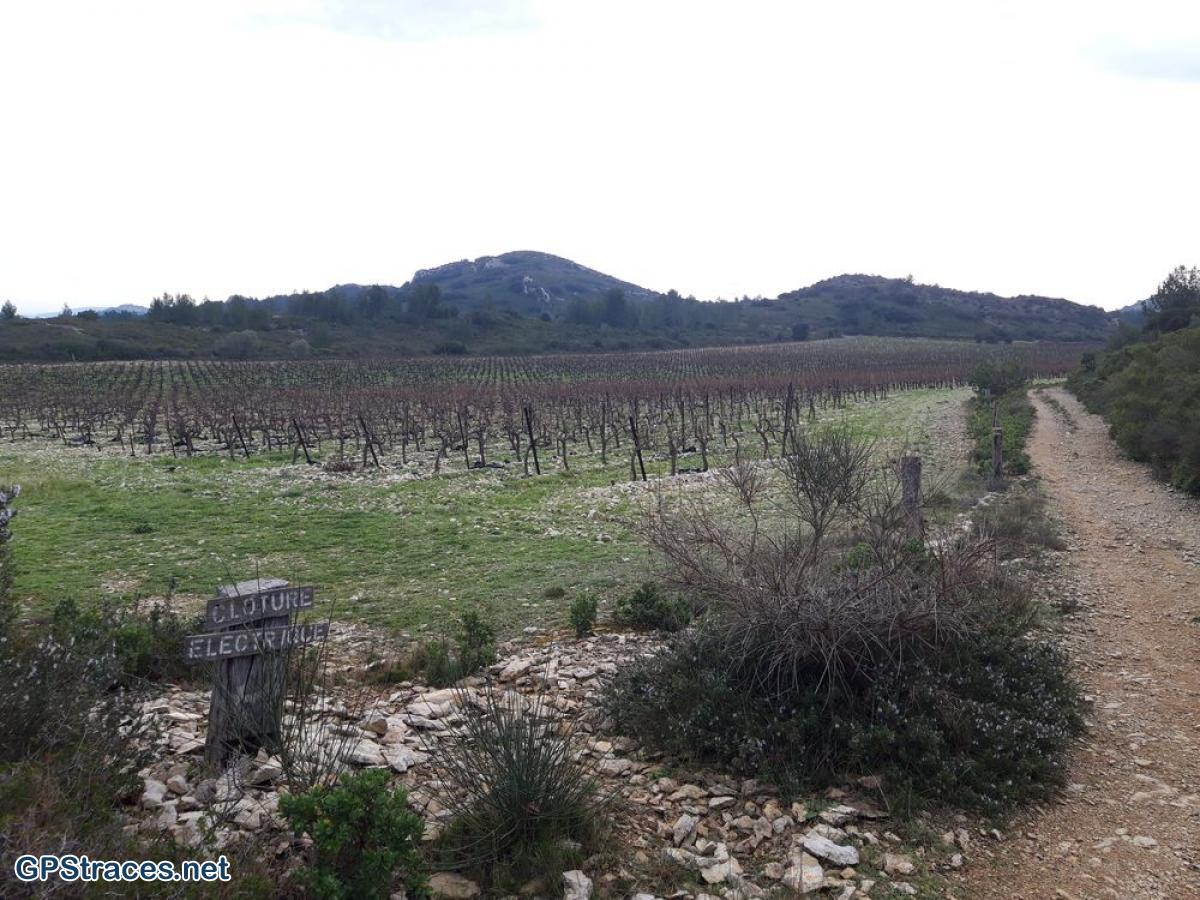 Gard-Aramon - Dève–7