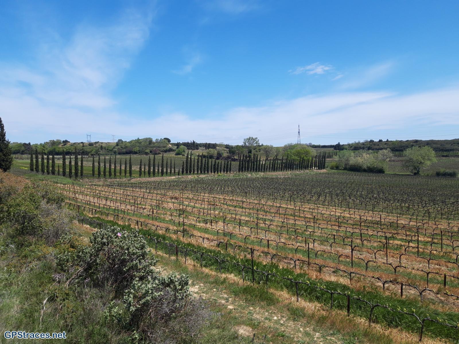 Gard-Aramon - Domazan–0