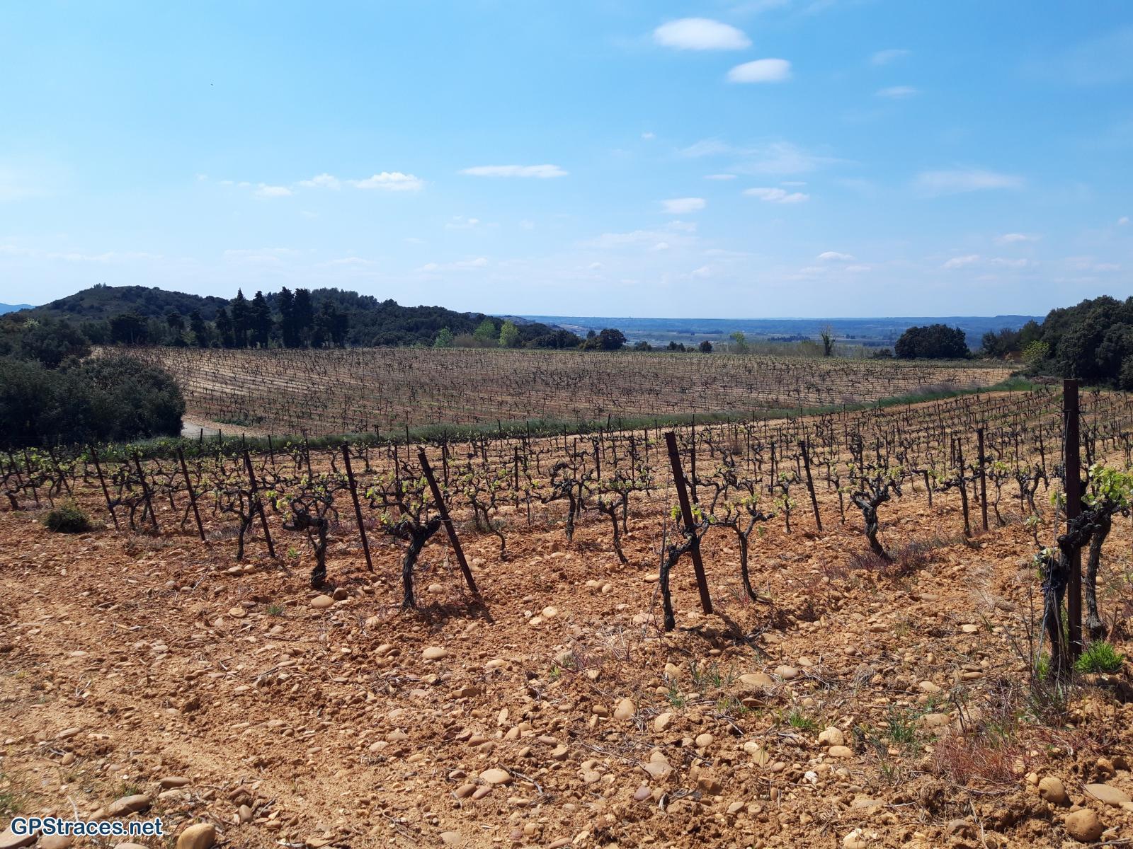 Gard-Aramon - Domazan–1
