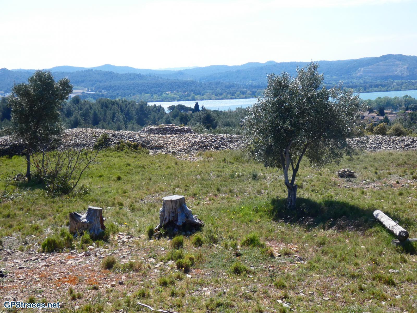 Le Rhône