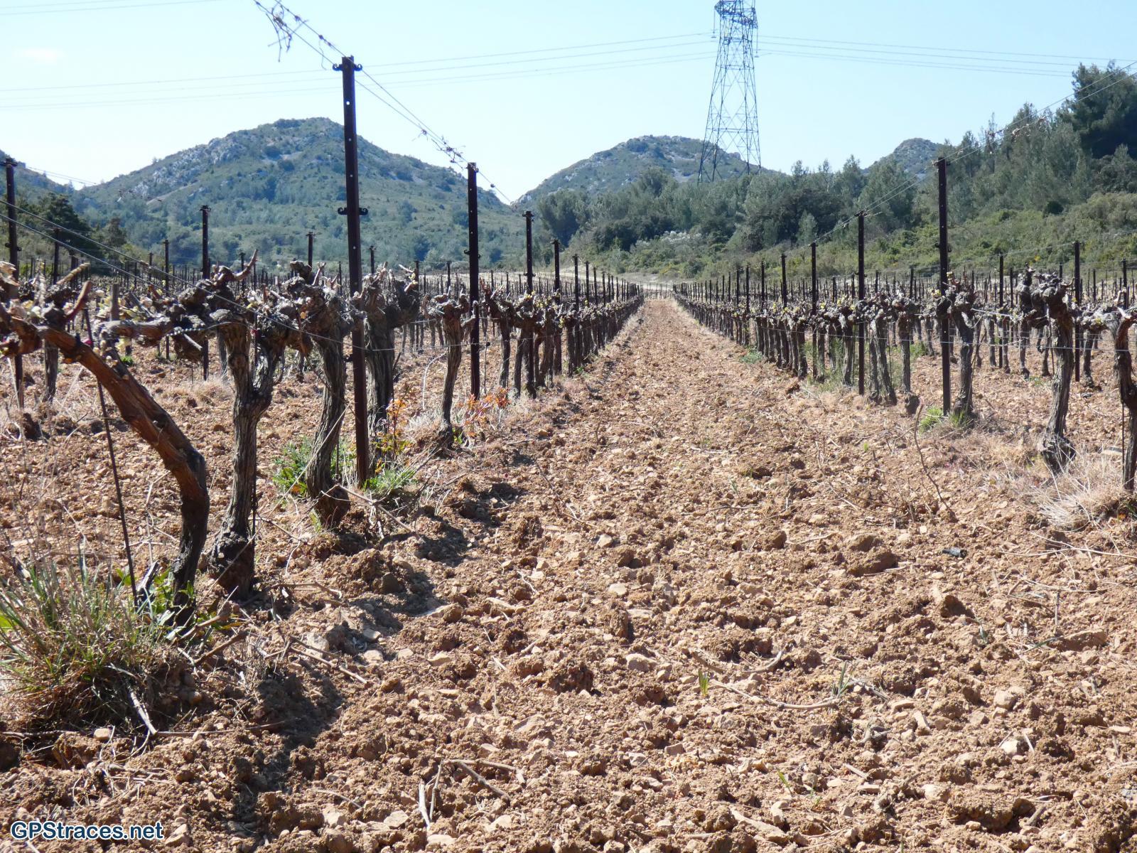 Gard-Aramon - Saze- Domazan–5