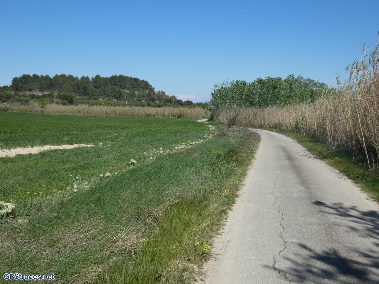 La plaine à Théziers