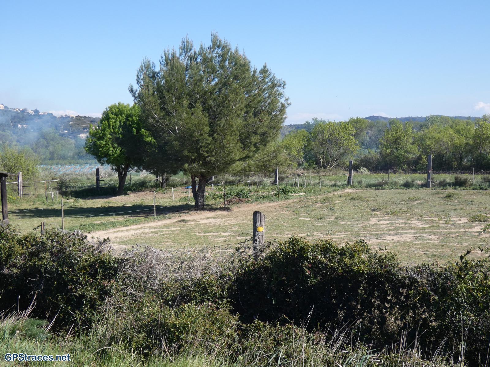 La plaine d'Aramon