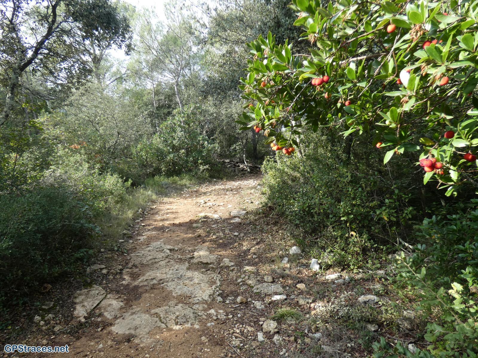 Gard-Arpaillargues - Aubussargues–3