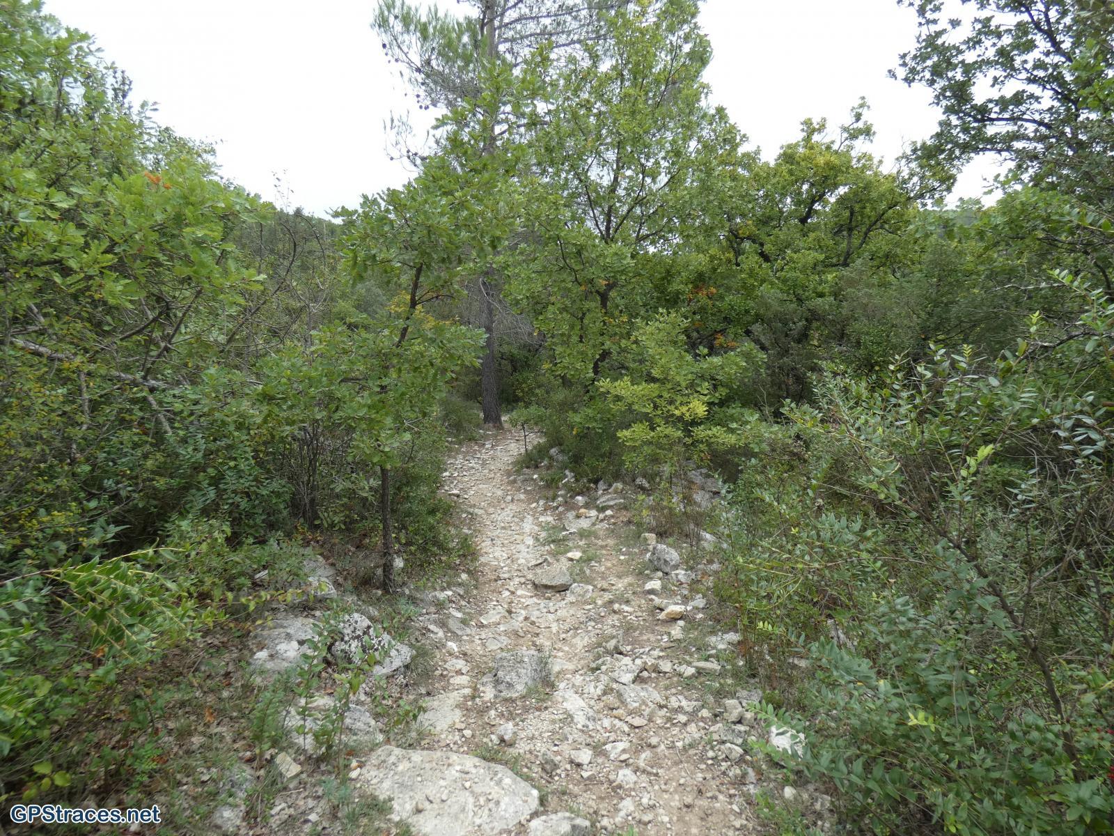Gard-Aubussargues - Le Bourdic–0
