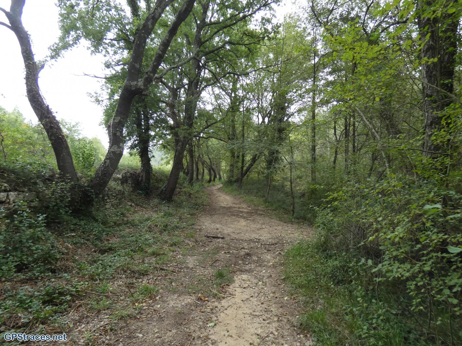 Gard-Aubussargues - Le Bourdic–1