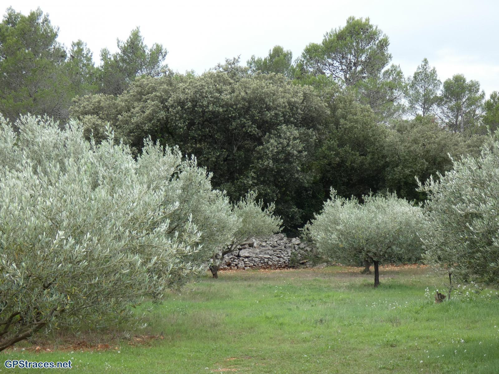 Gard-Aubussargues - Le Bourdic–8