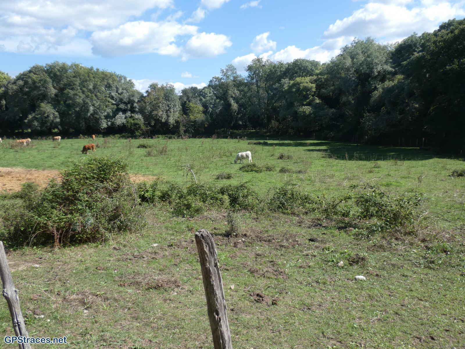 Gard-Aujargues - Les carrières de Junas–7