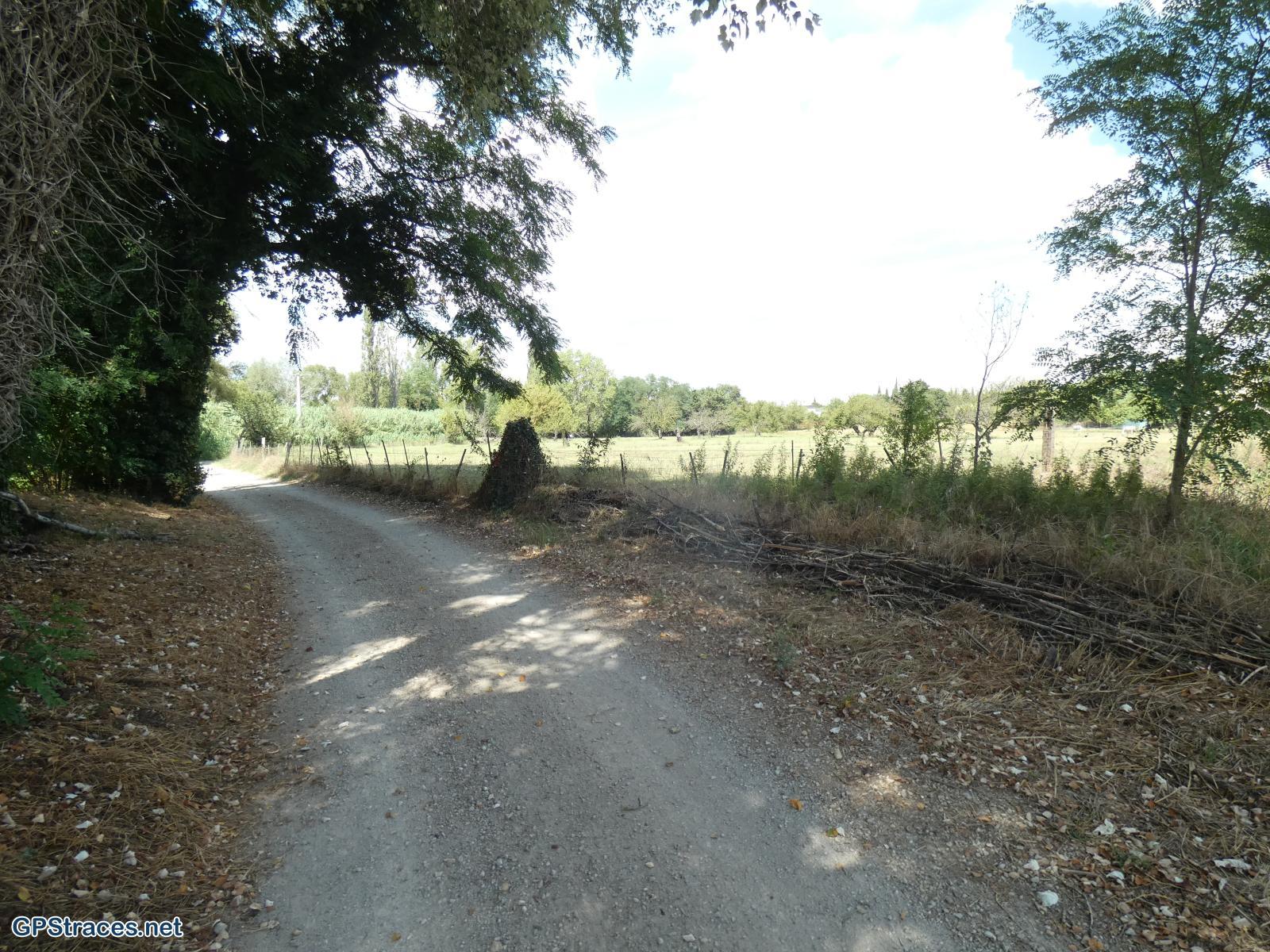 Gard-Autour de Montfrin–1