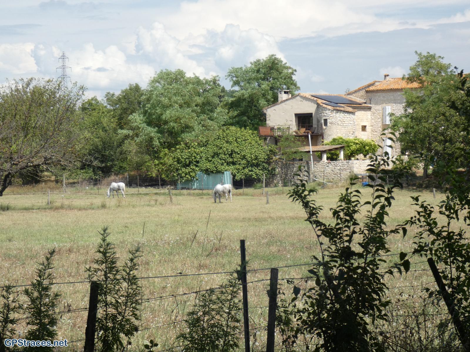 Gard-Autour de Montfrin–2