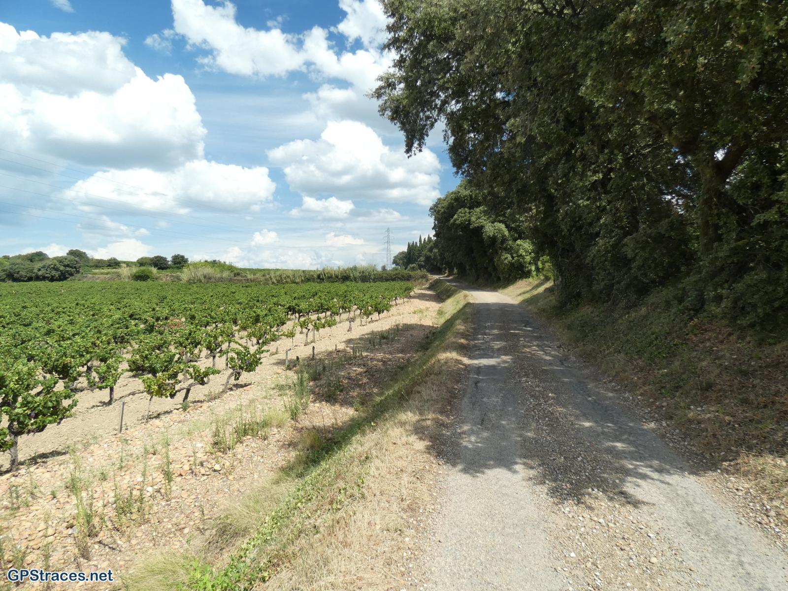 Gard-Autour de Montfrin–5