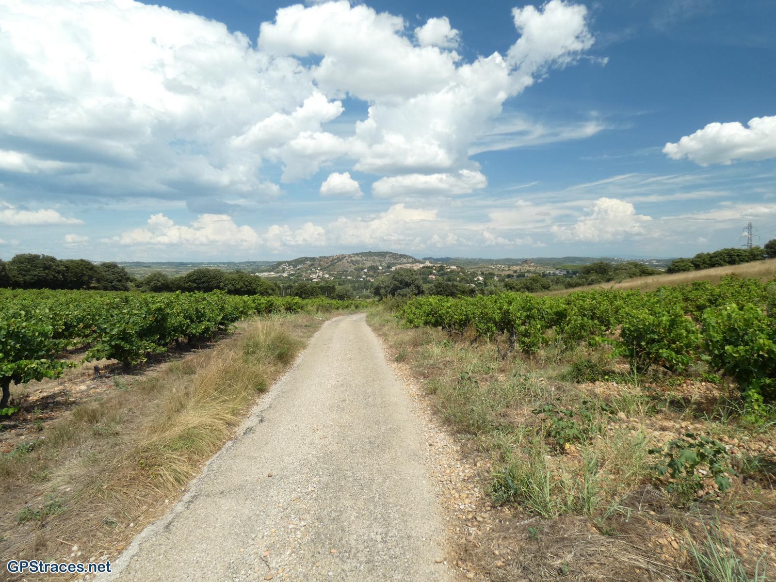 Gard-Autour de Montfrin–6