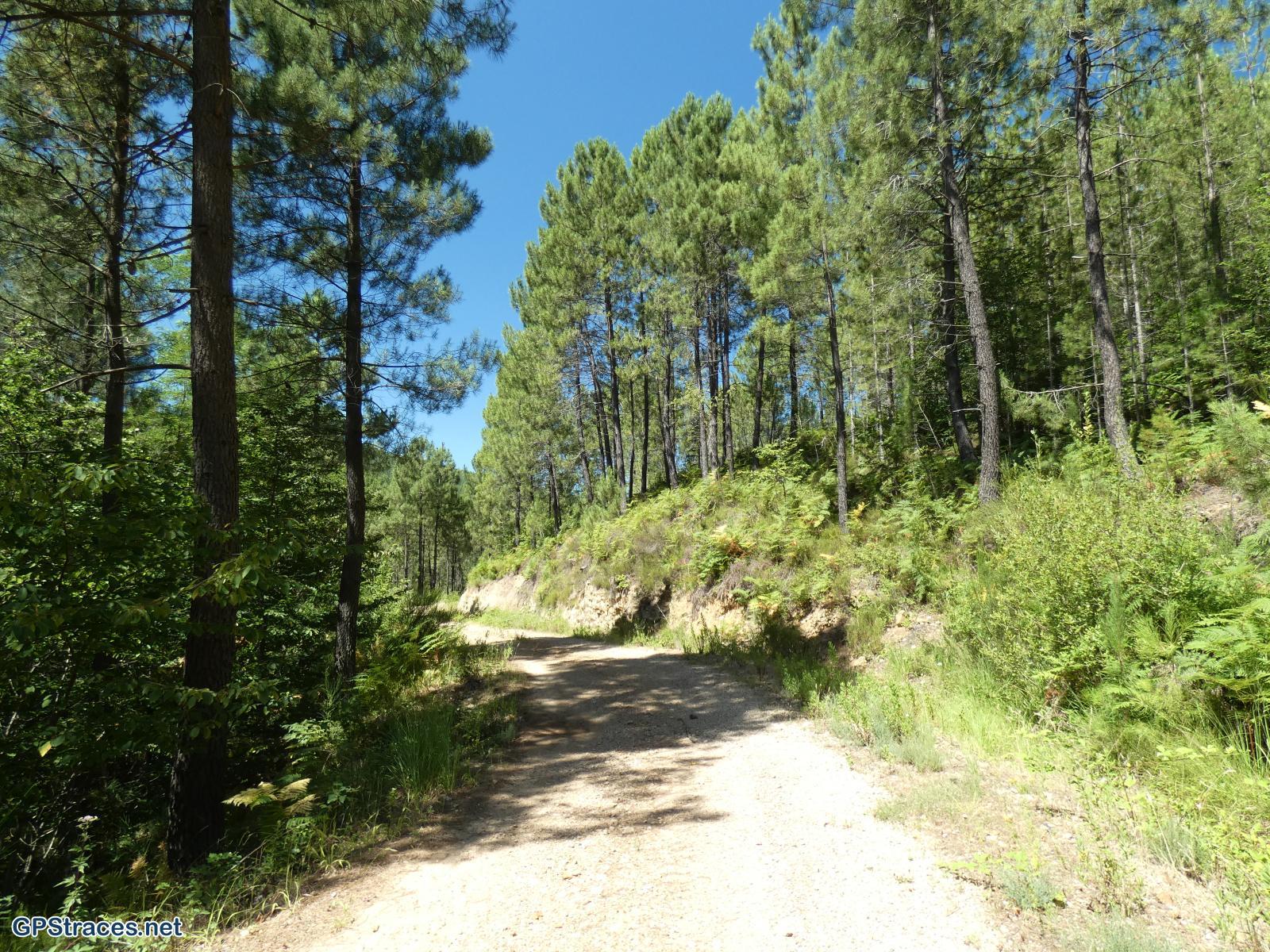 Gard-Autour de Portes–2