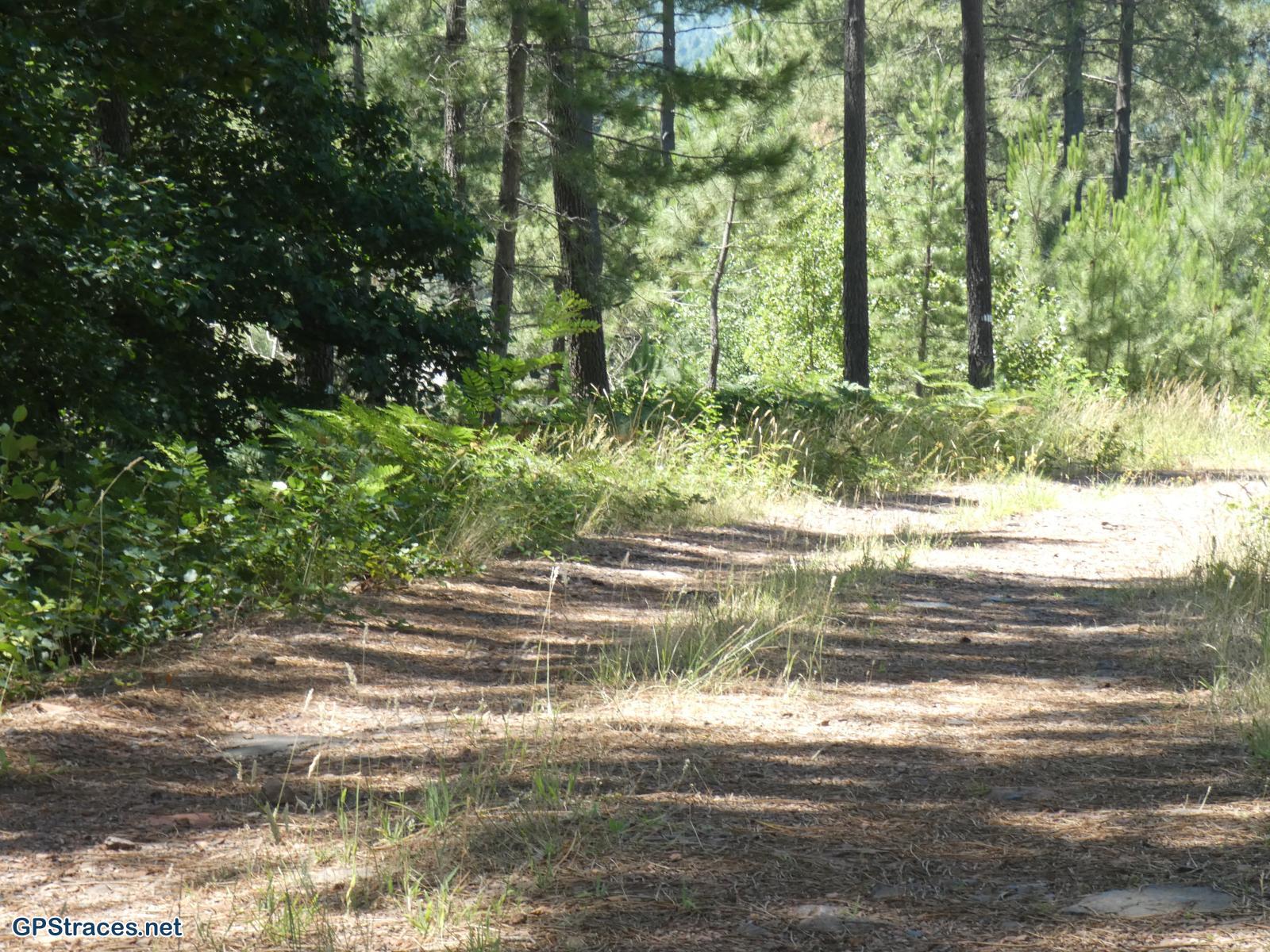 Gard-Autour de Portes–3