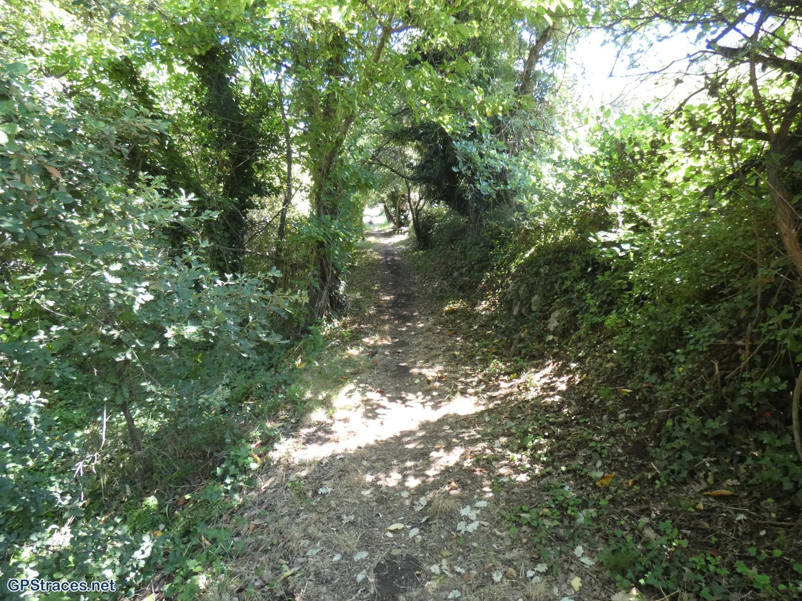 Gard-Autour de Saint-Victor-La-Coste–6
