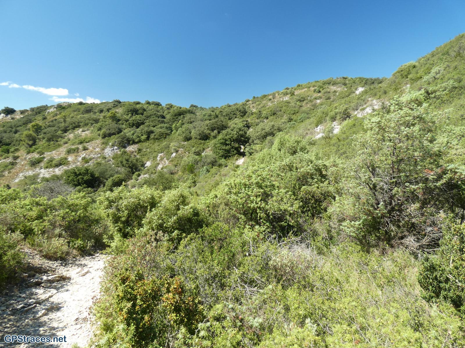 Gard-Autour de Saint-Victor-La-Coste–10