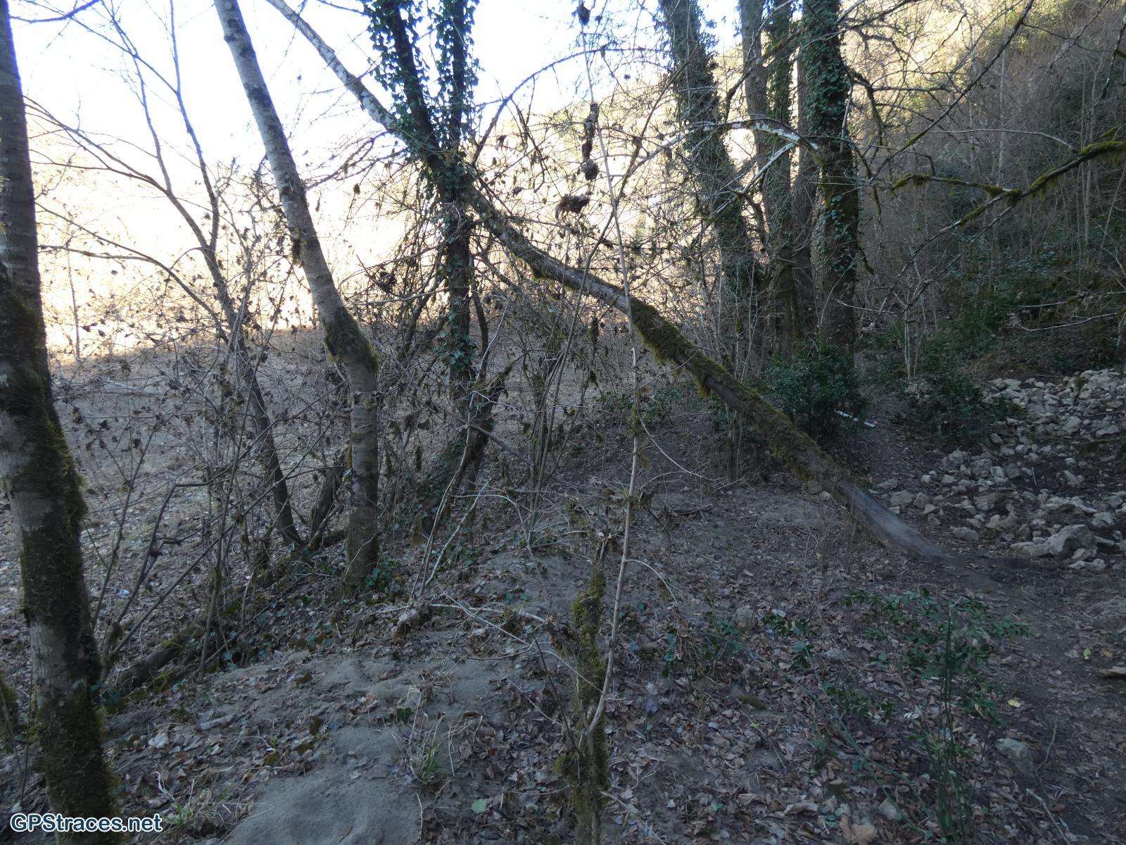 En bordure de la Cèze