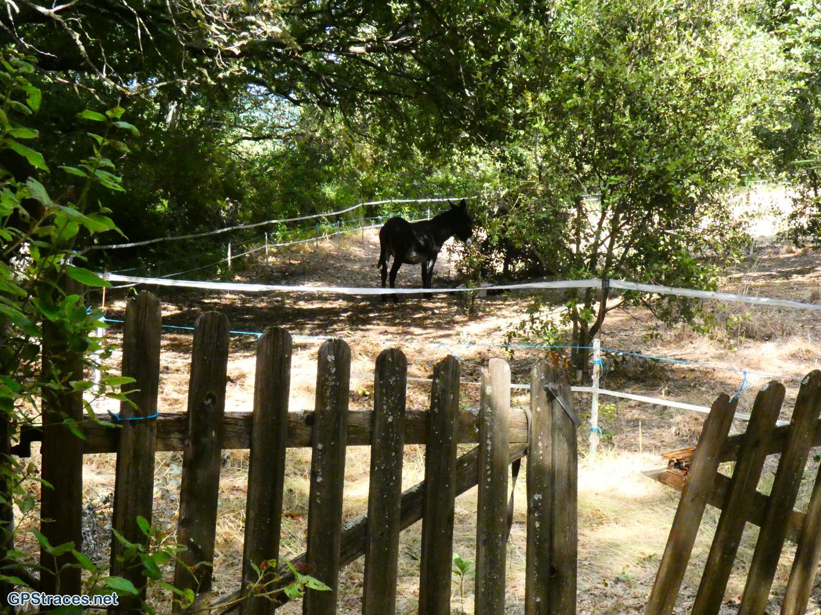 Gard-De la Bastide d'Engras à St-Laurent La Vernède–1