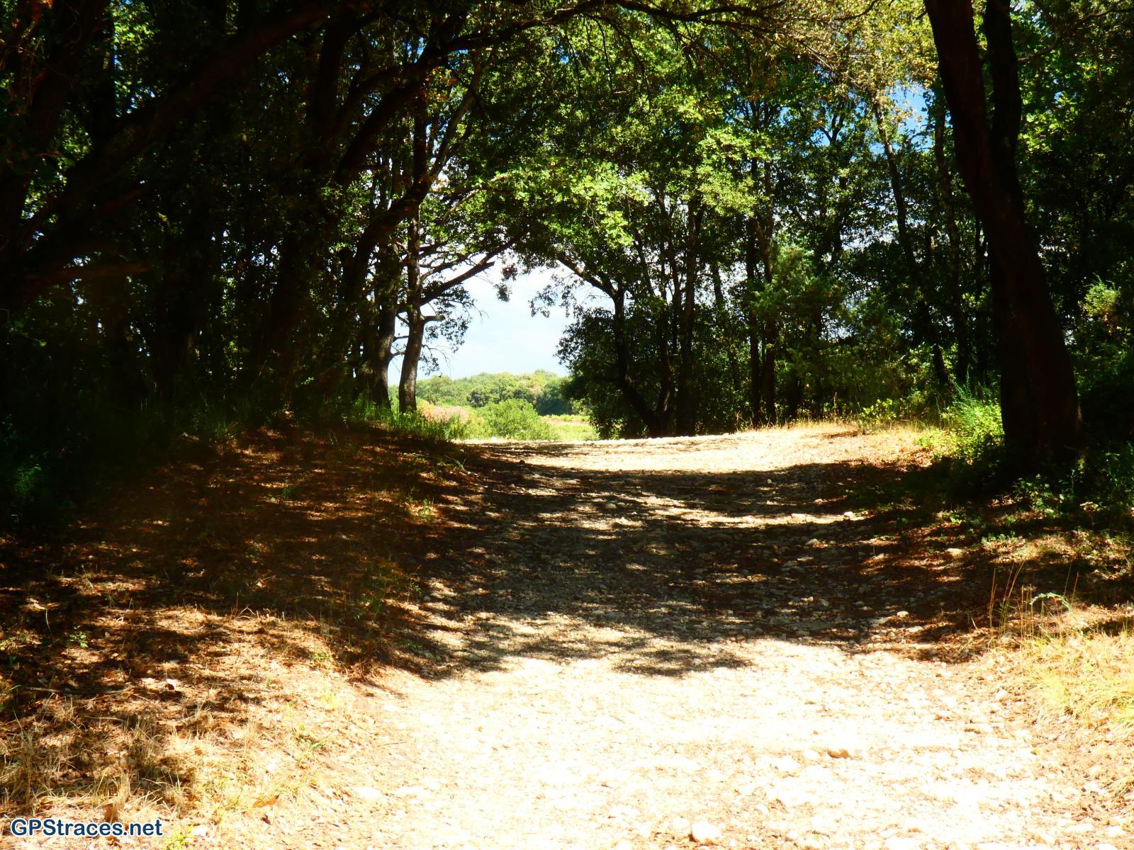 Gard-De la Bastide d'Engras à St-Laurent La Vernède–5