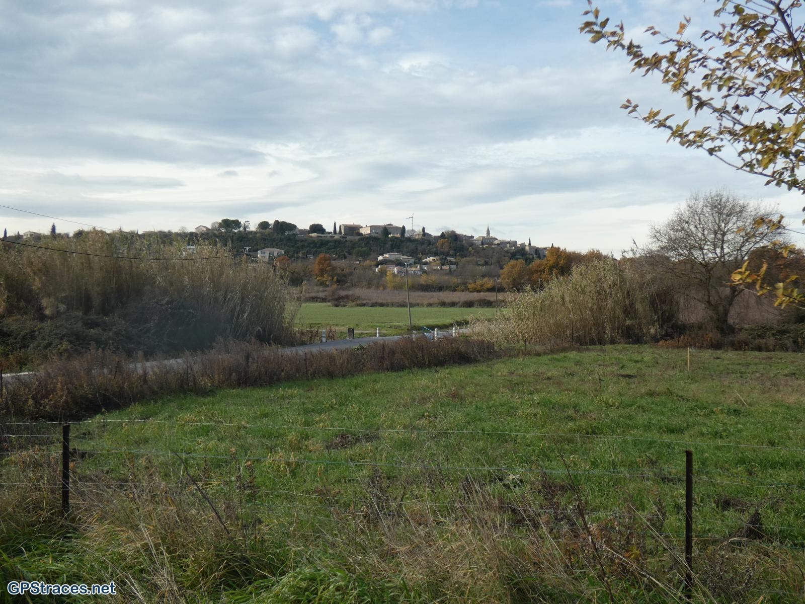 Malaïgue