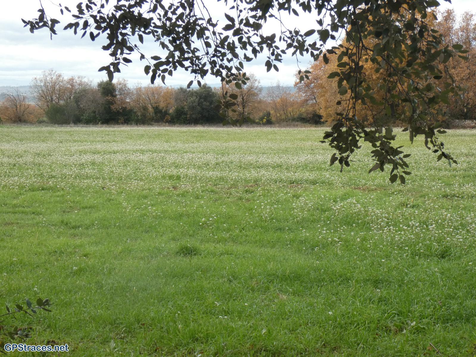 Gard-Blauzac - Malaigue–15