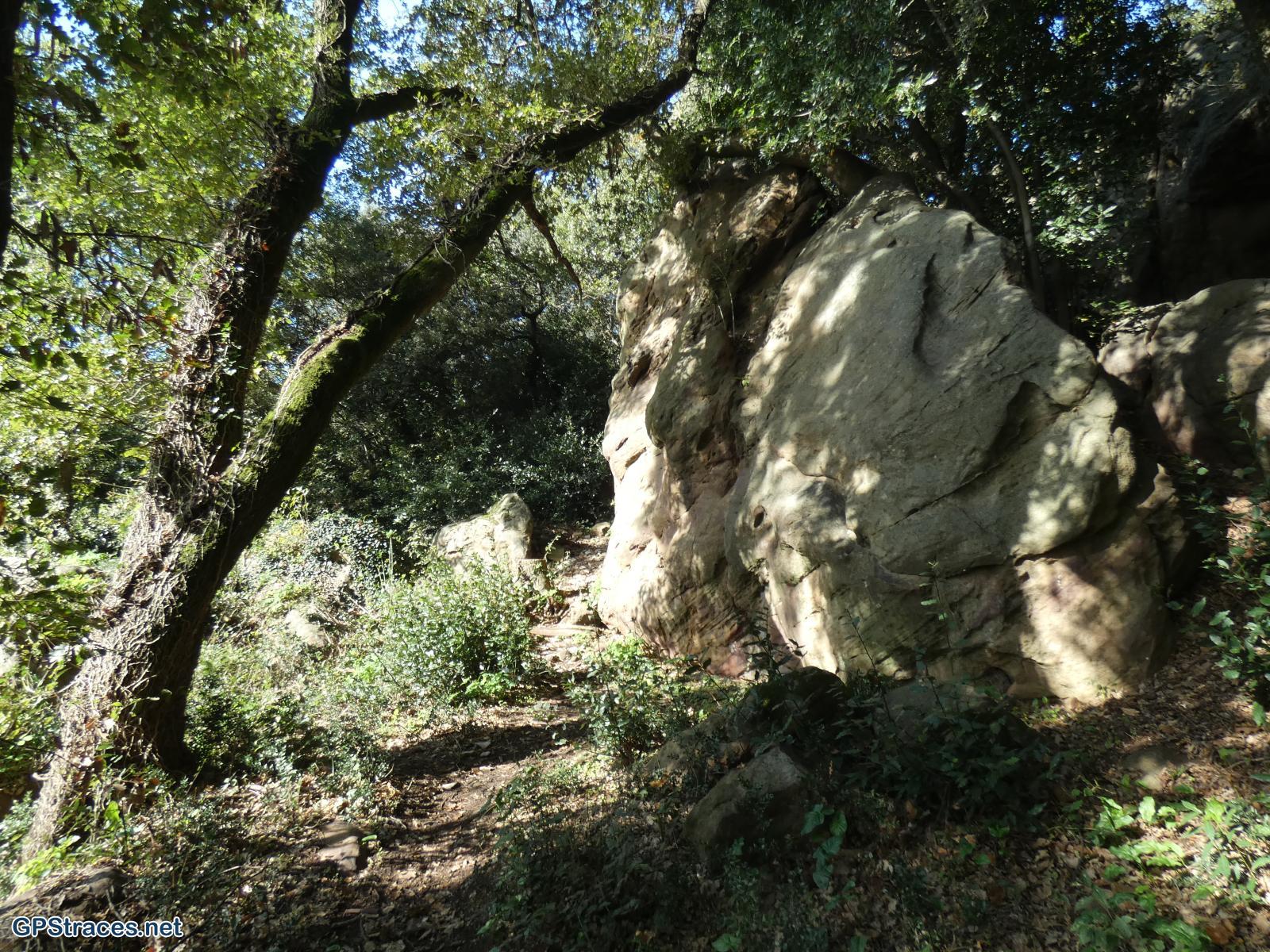 Gard-De La Capelle à Saint-Hippolyte-de-Montaigu–1
