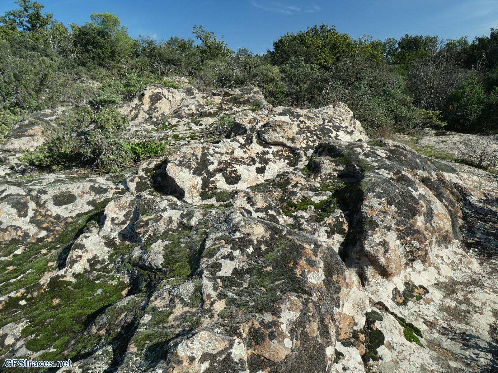 Gard-De La Capelle à Saint-Hippolyte-de-Montaigu–12