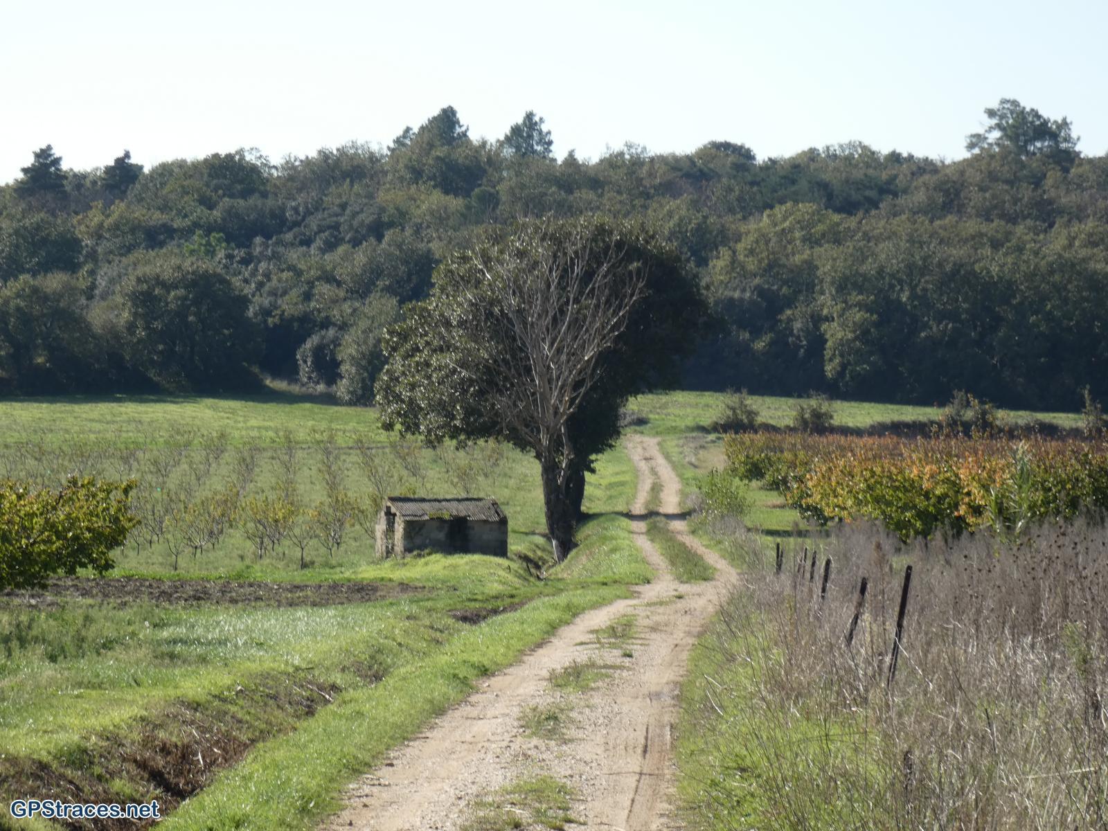 Gard-De La Capelle à Saint-Hippolyte-de-Montaigu–17