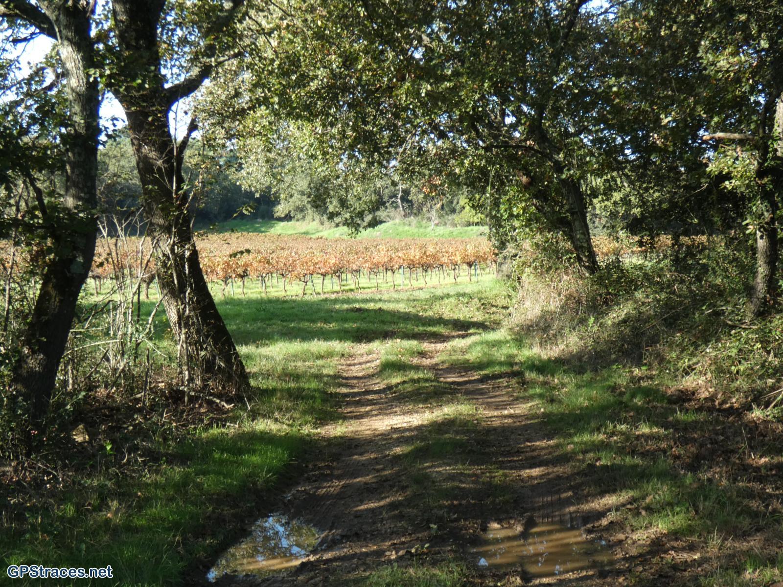 Gard-De La Capelle à Saint-Hippolyte-de-Montaigu–20
