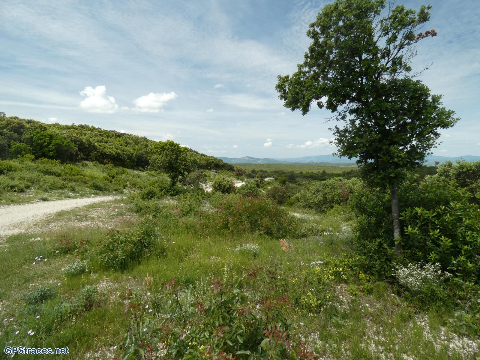 Gard-Les carrières et le bois des Lens–1