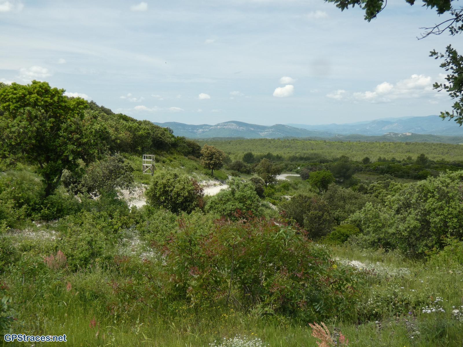 Gard-Les carrières et le bois des Lens–2